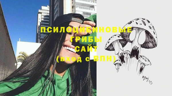 мескалин Осташков