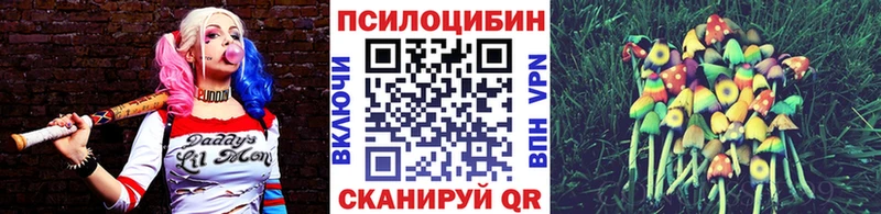 Псилоцибиновые грибы MAGIC MUSHROOMS  Купить закладки  Тосно 